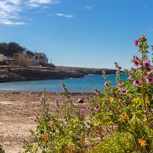Arbocers Hébergement de vacances